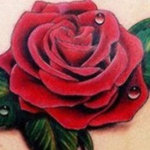 Meet your Posher, Lance